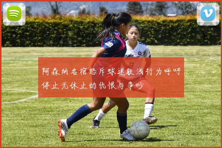 阿森纳名宿怒斥球迷肤浅行为呼吁停止无休止的仇恨与争吵